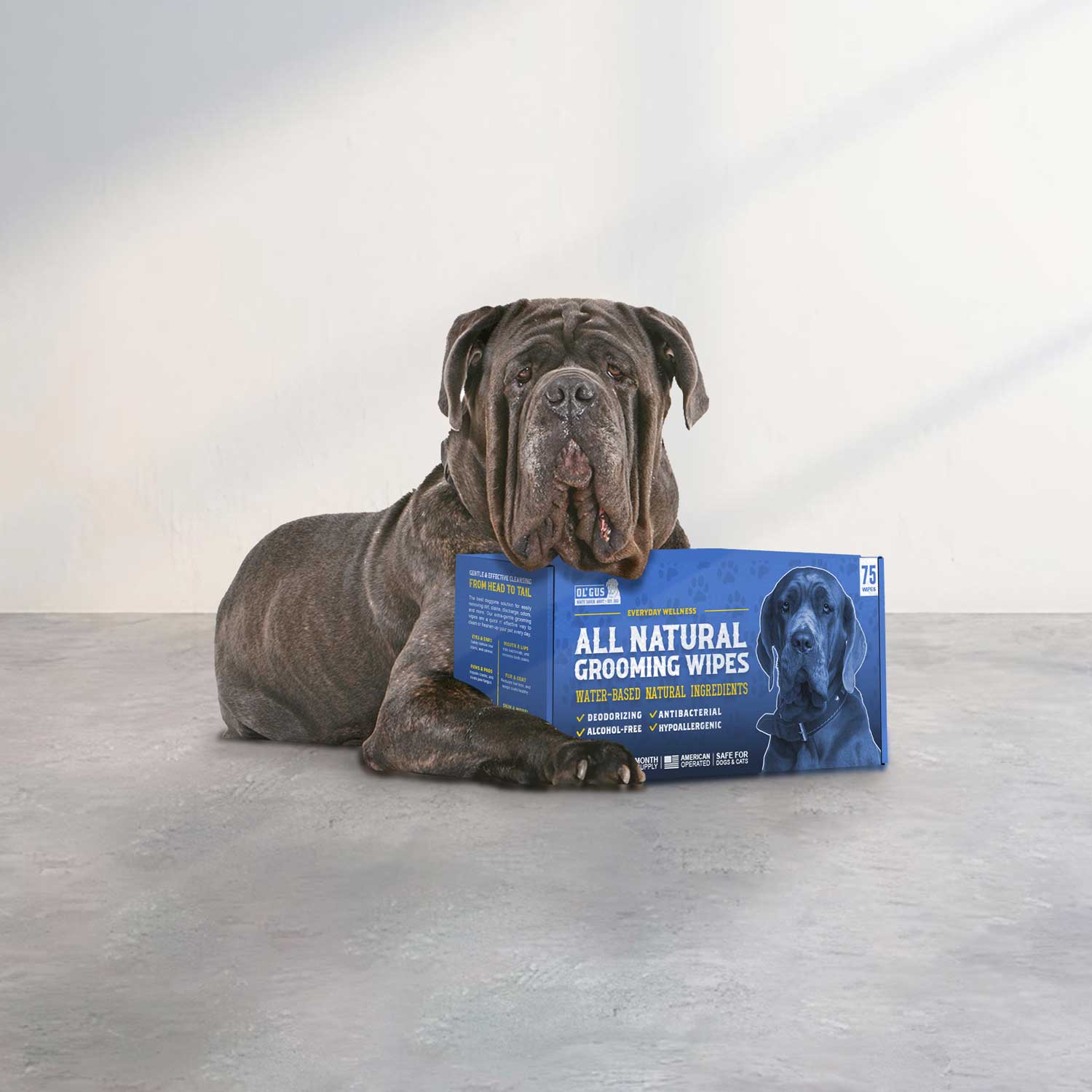 packaging design dog brand